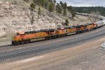 BNSF 7688/5066/7791